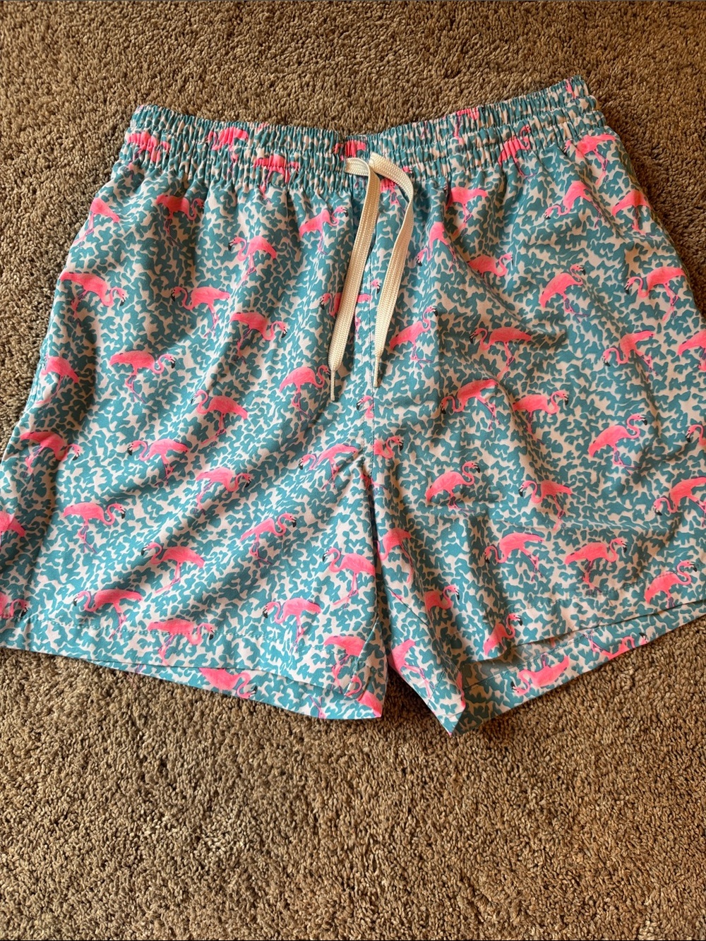 chubbies Turquoise Shorts with Pink Flamingo Print